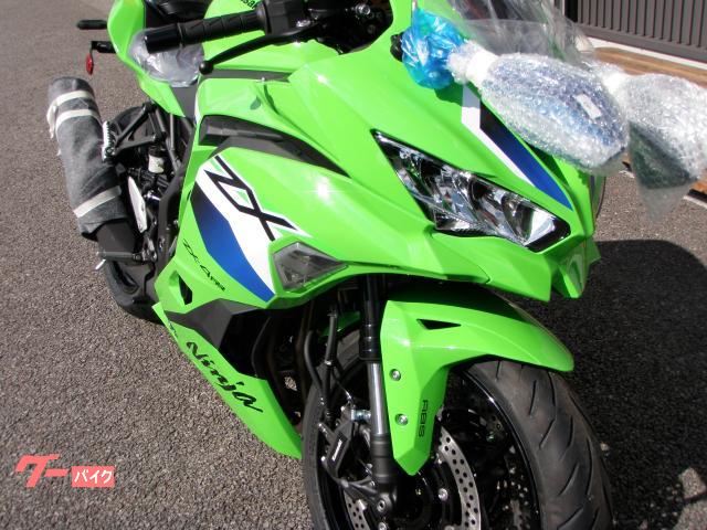 リョウ 36/4.0 23-25 Kawasaki ZX-4R, ZX-4RR Rider Seat Cover (Sport) – Luimoto