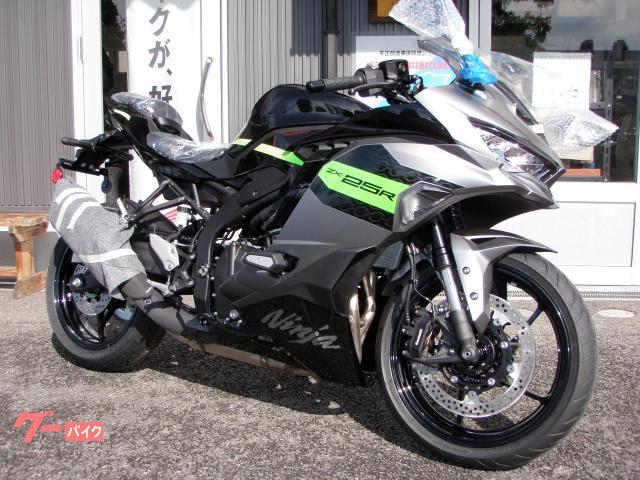 Ｎｉｎｊａ　ＺＸ−２５Ｒ　ＳＥ