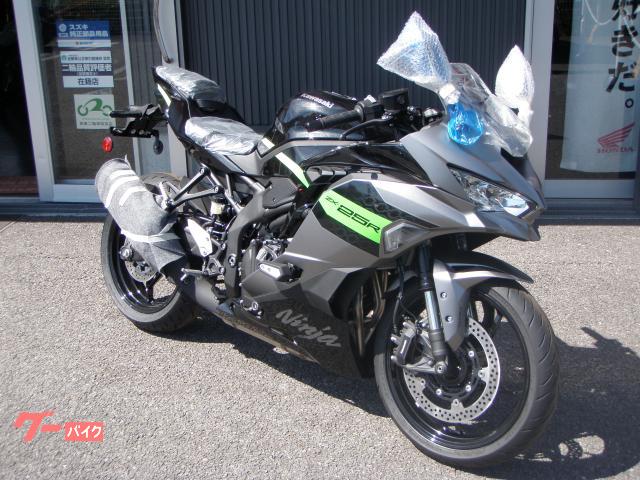 Ｎｉｎｊａ　ＺＸ−２５Ｒ　ＳＥ
