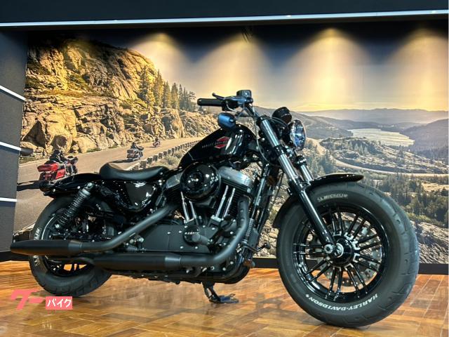ＸＬ１２００Ｘ　フォーティエイト　サイドナンバー　Ｒスモークレンズ　Ｆ極小ウインカー　純正グリップ