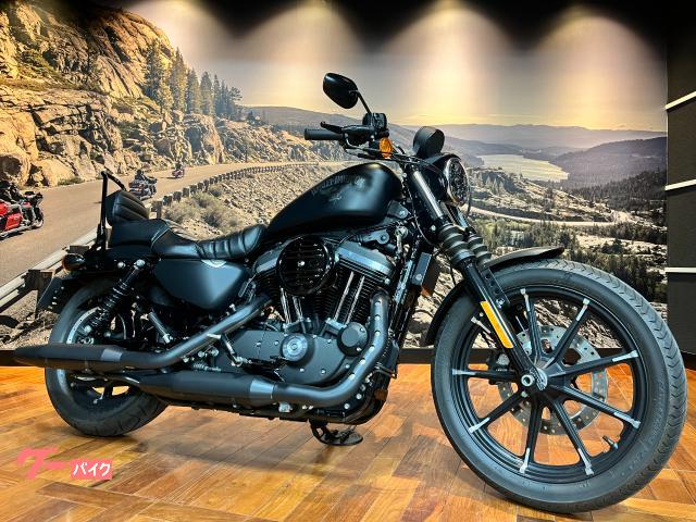 ＸＬ８８３Ｎ　アイアン　ＥＴＣ２．０　　ＬＥＤウィンカー　　ＯＨＬＩＮＳサスペンション　シーシーバー