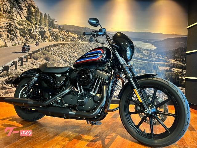 ＸＬ１２００ＮＳアイアン　空冷スポーツスター　エボリューションエンジン　前後ケラーマン極小ウィンカー