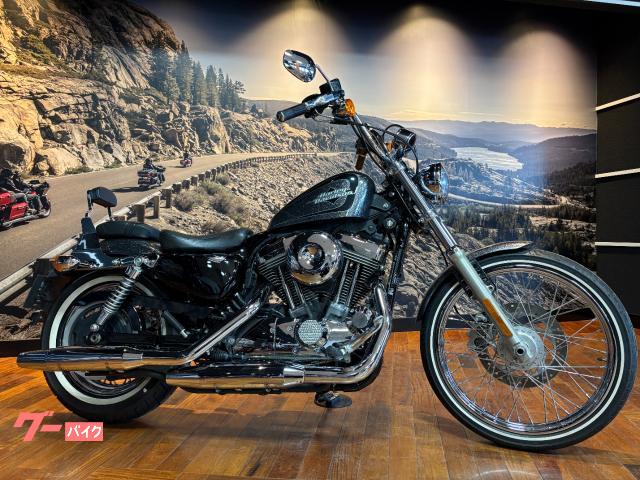 XL1200V セブンティーツー 空冷スポーツスター エボリューションエンジン ウィンカーエクステンション シーシーバー