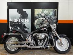 ＨＡＲＬＥＹ−ＤＡＶＩＤＳＯＮ　ＦＬＳＴＦ　ファットボーイ　１５周年アニバーサリー　シーシーバー　エンジンガード　サドルバッグ　ウィリーＧ．スカルグリップ　ＥＴＣ