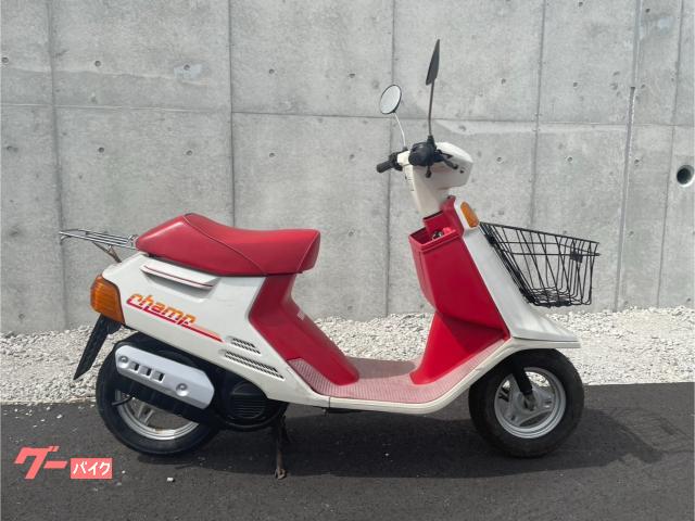 ヤマハ チャンプ 54V 白赤色 2スト リアタイヤ新品 純正オプション