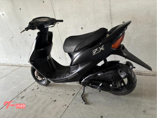 黒松（持ち込み古い） 黒松（かなり持ち込み古い）インテリア用サイズ 黒松（かなり持ち込み