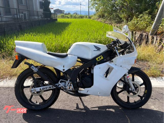 ホンダ NS－1 AC12 2スト キャブ車 白色 チェンバー ビック