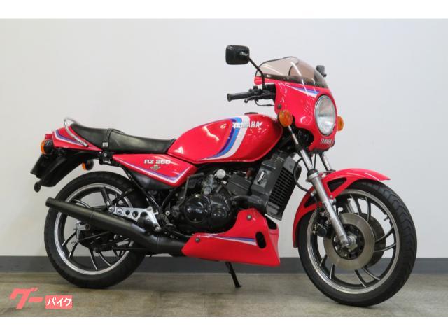 ＲＺ２５０　純正ＯＰカウル　Ｗディスク　ノーマル車