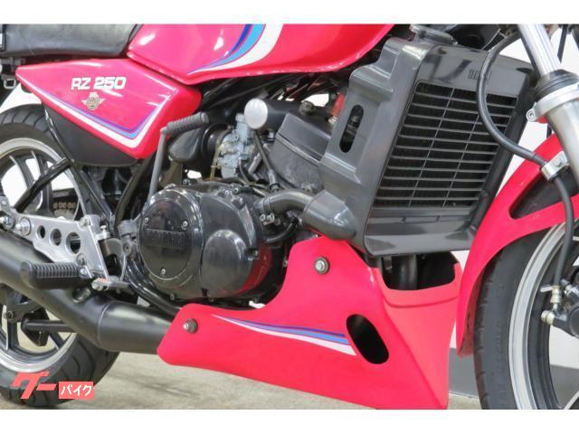 ヤマハ RZ250 純正OPカウル Wディスク ノーマル車｜ウエマツ