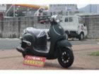 ホンダ ジョルノの画像（静岡県