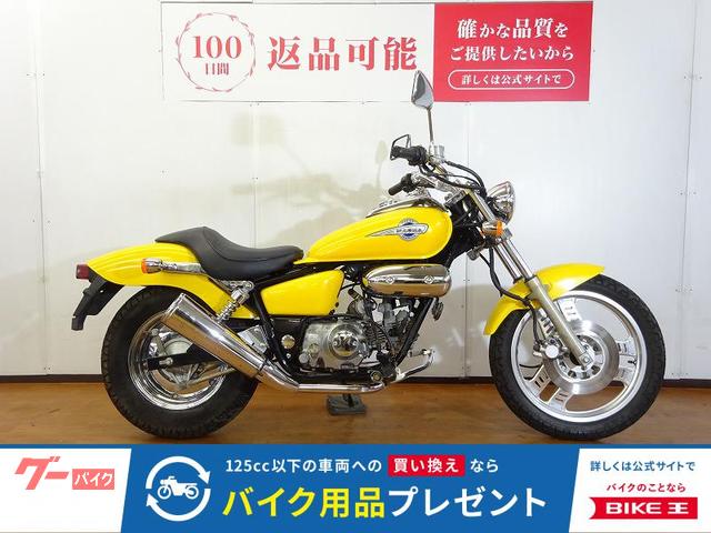 ＭＡＧＮＡ　ＦＩＦＴＹ　１９９５年モデル／フルノーマル