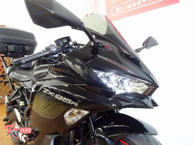 【ご成約】ラダーです。バイク用に使用していました。 Amazon.co.jp: Ruedamann バイク ラダー 長さ222.5cm 幅28cm 耐荷重