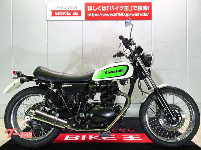 期間限定！最安値挑戦】 250TR マフラーテールランプフェンダー