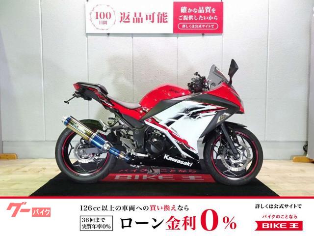 Ｎｉｎｊａ　２５０　ＡＢＳ／２０１３年モデル／フレームスライダー／フェンダーレス／ＫＭＴパッションレッド
