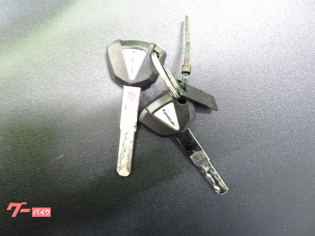 カワサキ ニンジャZX－4R SE ABS／2025年モデル