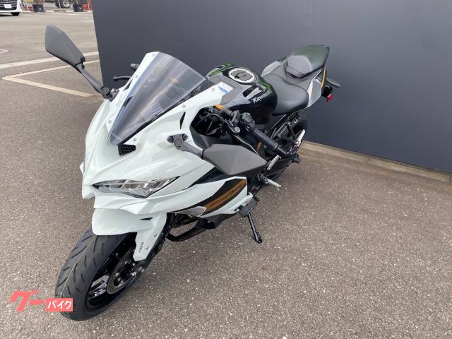 さくちゃん　ラジャー1050P グレージュNA さくちゃん ラジャー1050P グレージュNA さくちゃん ラジャー1050P