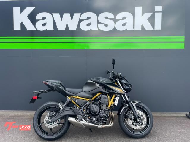 カワサキ Z650 S 2026年モデル メタリックマットグラフェン