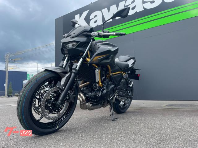 まっすーさん専用 カワサキ Z650 S 2026年モデル メタリックマットグラフェン