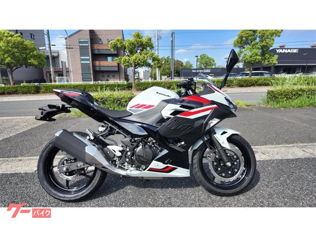 Ninja 250 2027年モデル