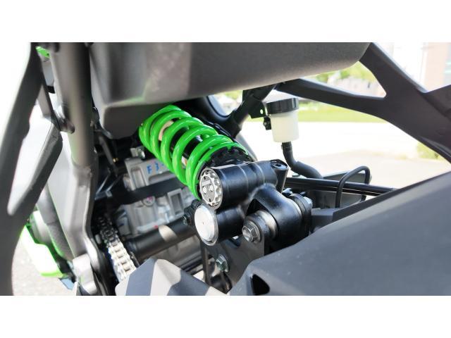 改訂新版タローデパリキット版 カワサキ Ninja ZX－4RR KRT EDITION