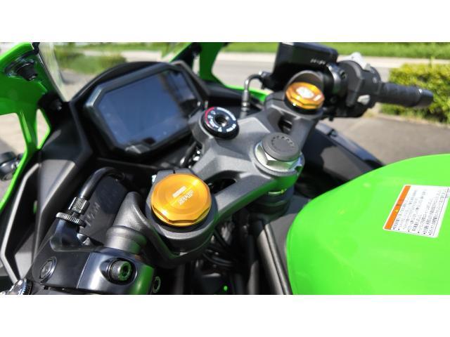改訂新版タローデパリキット版 カワサキ Ninja ZX－4RR KRT EDITION