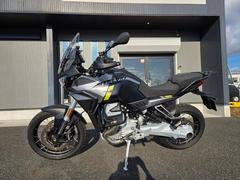 ＭＯＴＯ　ＧＵＺＺＩ　ステルビオ