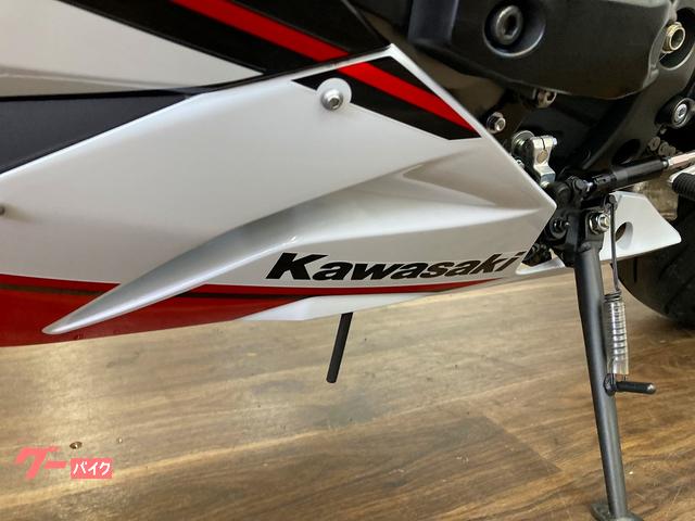 カワサキ Ninja ZX－6R アクラポビッチマフラー付き