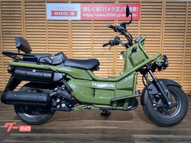 ホンダPS250 バックレスト | www.ega.org.eg