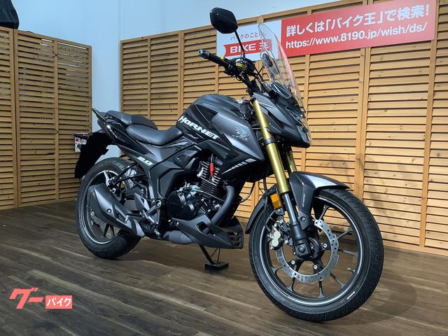 ホンダ ホーネット２．０ 並行輸入モデル／スクリーン／レバーカスタム