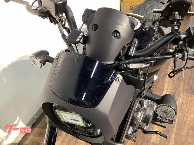レブル1100 純正OP ヘッドライトカウル レブル1100 純正OP ヘッドライトカウル ホンダ レブル1100 2021年