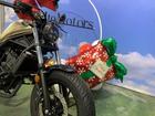 ホンダ レブル２５０　ワンオーナー　ガラスコーティング施行済みの画像（愛知県