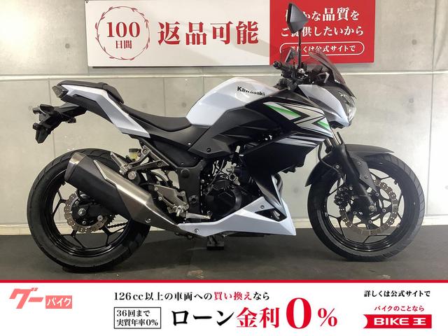 Ｚ２５０　ＭＲＡスクリーン付き　ＵＳＢ付き　ヘルメットホルダー付き　２０１４年モデル
