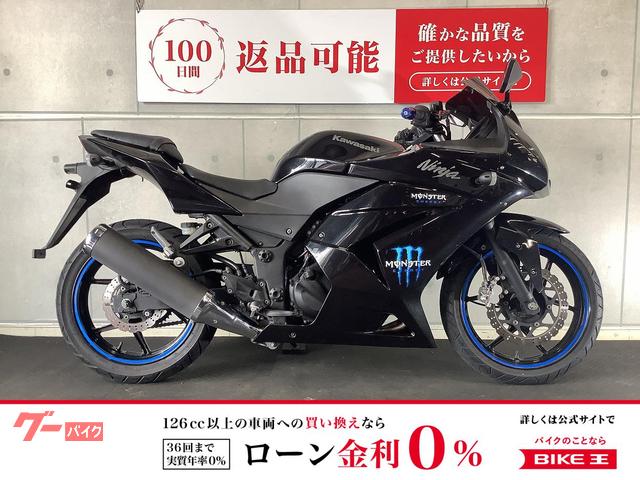 Ｎｉｎｊａ　２５０Ｒ　外装ペイント　スクリーンカスタム