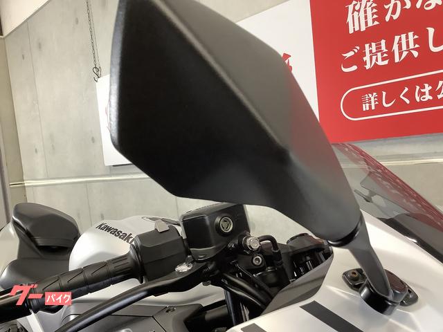 カワサキ ニンジャZX－4R SE ワンオーナー車 外装ペイント