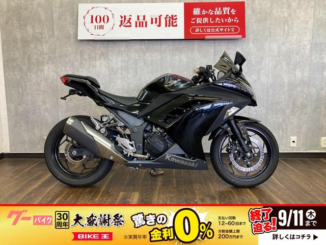 Ｎｉｎｊａ　２５０　スクリーン　バーエンド　レバー　フェンダーレスカスタム　マルチバー　ヘルメットホルダー付き