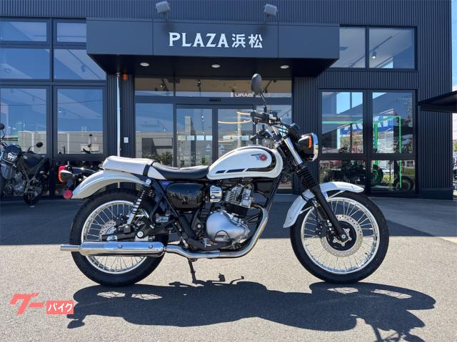 Ｗ２５０