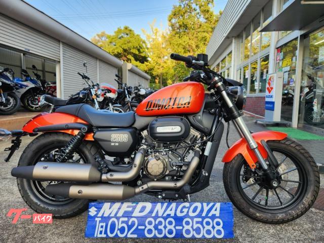 ＳＲＶ　２５０　チェーン駆動　ＭＴモデル　２５０ｃｃアメリカンスタイル
