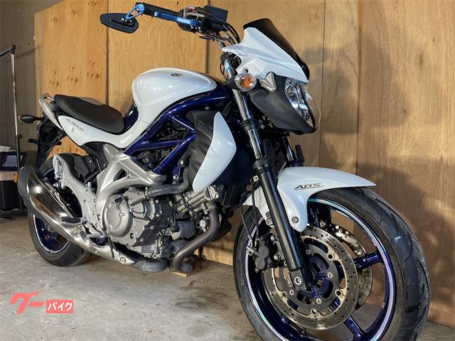 グラディウス400 650 フェンダーレス エボテック