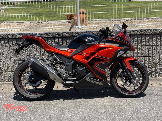 Ｎｉｎｊａ　２５０　フルノーマル　インジェクション仕様