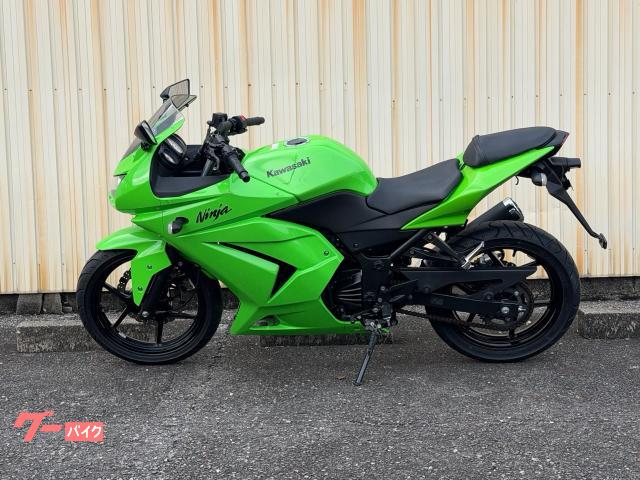 【inokana様】専用・緑360g×2≪追加購入特割特価≫ カワサキ Ninja 250R｜ショップ カーデン｜新車・中古バイク