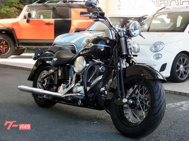 ＦＬＳＴＳＣ　スプリンガークラシック