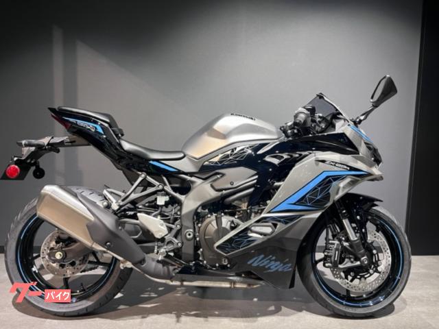 Ｎｉｎｊａ　ＺＸ−２５Ｒ　ＳＥ　２０２４年モデル　メタリックファントムシルバー