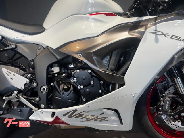 【新品未使用】GENIC FDB ホワイト カワサキ Ninja ZX－6R 2025年モデル パールロボ