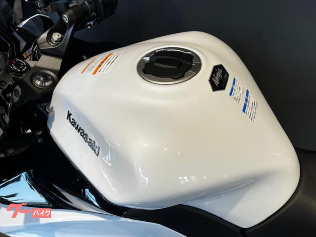 車両情報:カワサキ Ninja 1100 SX | カワサキ プラザ知立 | 中古
