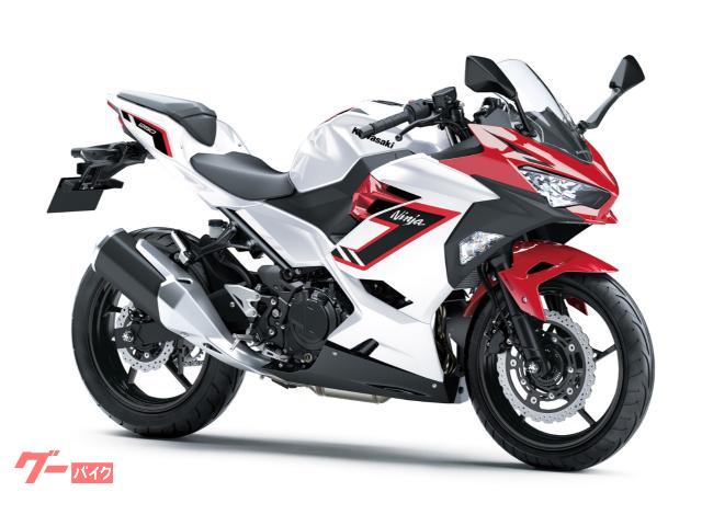 Ｎｉｎｊａ　２５０　２０２６年モデル　ギャラクシーシルバー