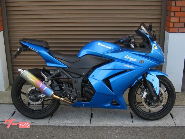 Ｎｉｎｊａ　２５０Ｒ　マフラー　カスタム多数