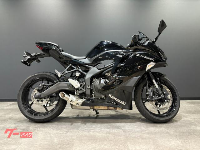 Ｎｉｎｊａ　ＺＸ−２５Ｒ