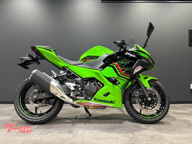Ｎｉｎｊａ　２５０