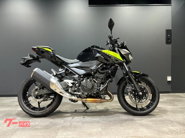 Ｚ２５０