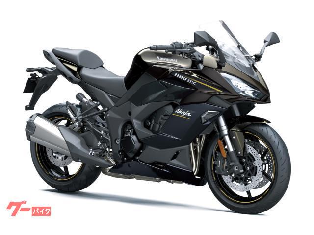 Ｎｉｎｊａ　１１００　ＳＸ